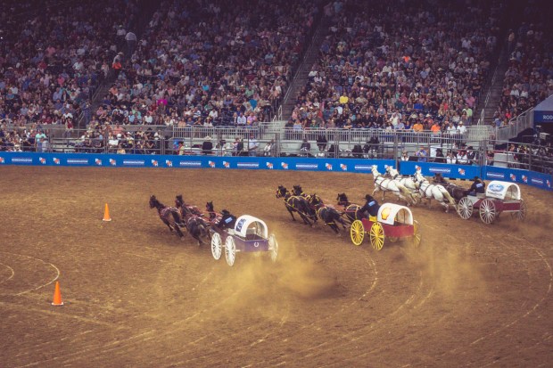 87.365.2018 Chuck Wagon Racing - Houston Livestock and Rodeo 2018