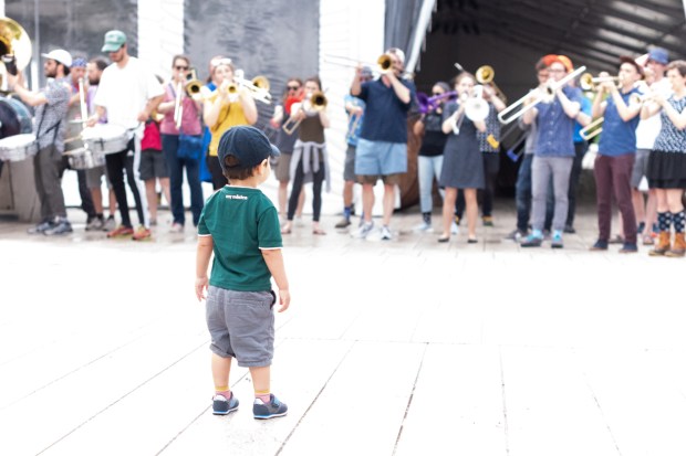 149.365.2018 The Young Fan, School of Honk