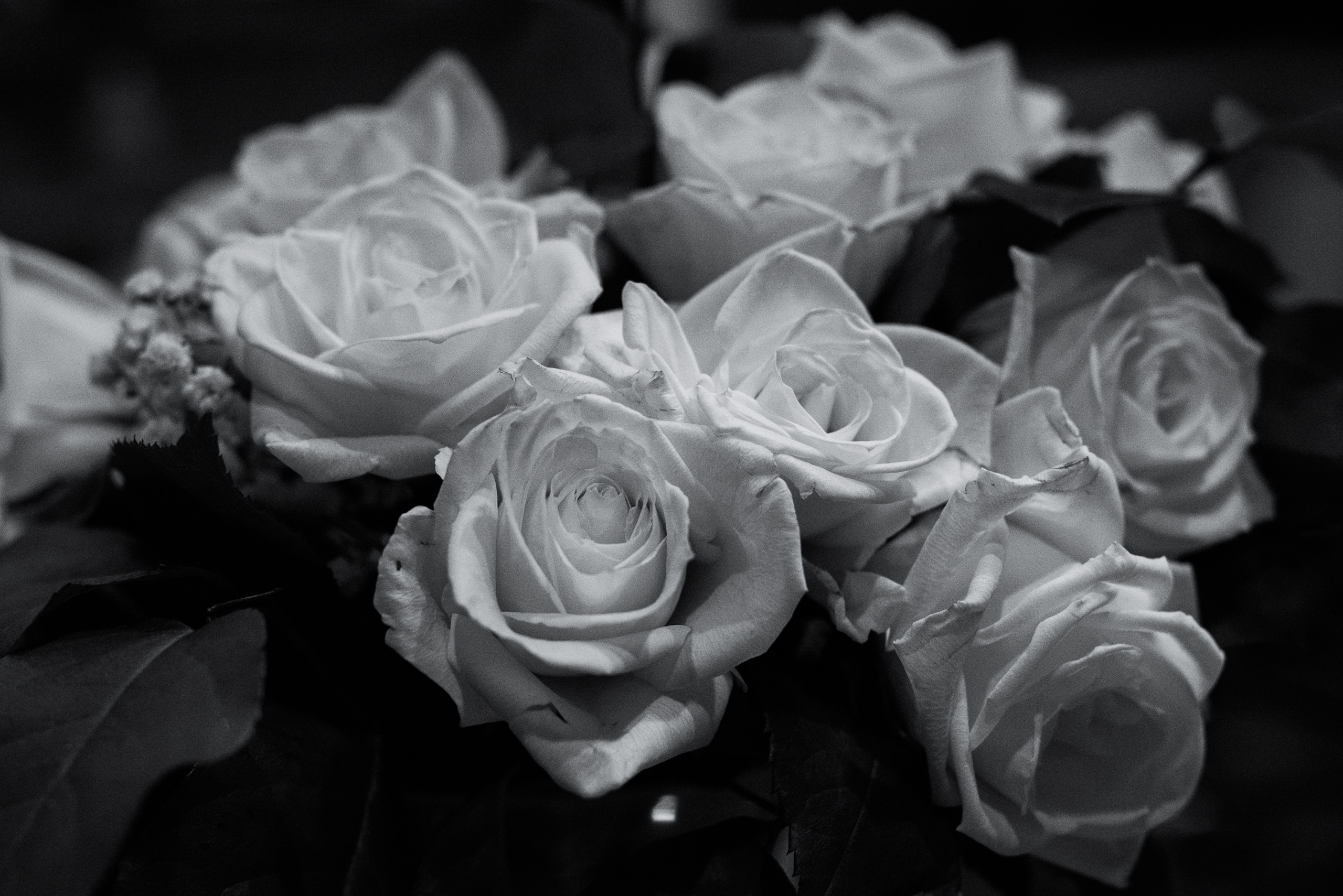 anniversary_2018_06_03_02