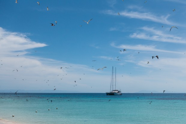 284.365.2018 Ocean Spirit at Michaelmas Cay, Great Barrier Reef, Cairns, Australia